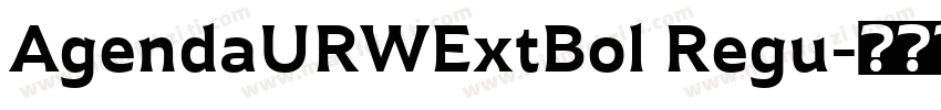 AgendaURWExtBol Regu字体转换